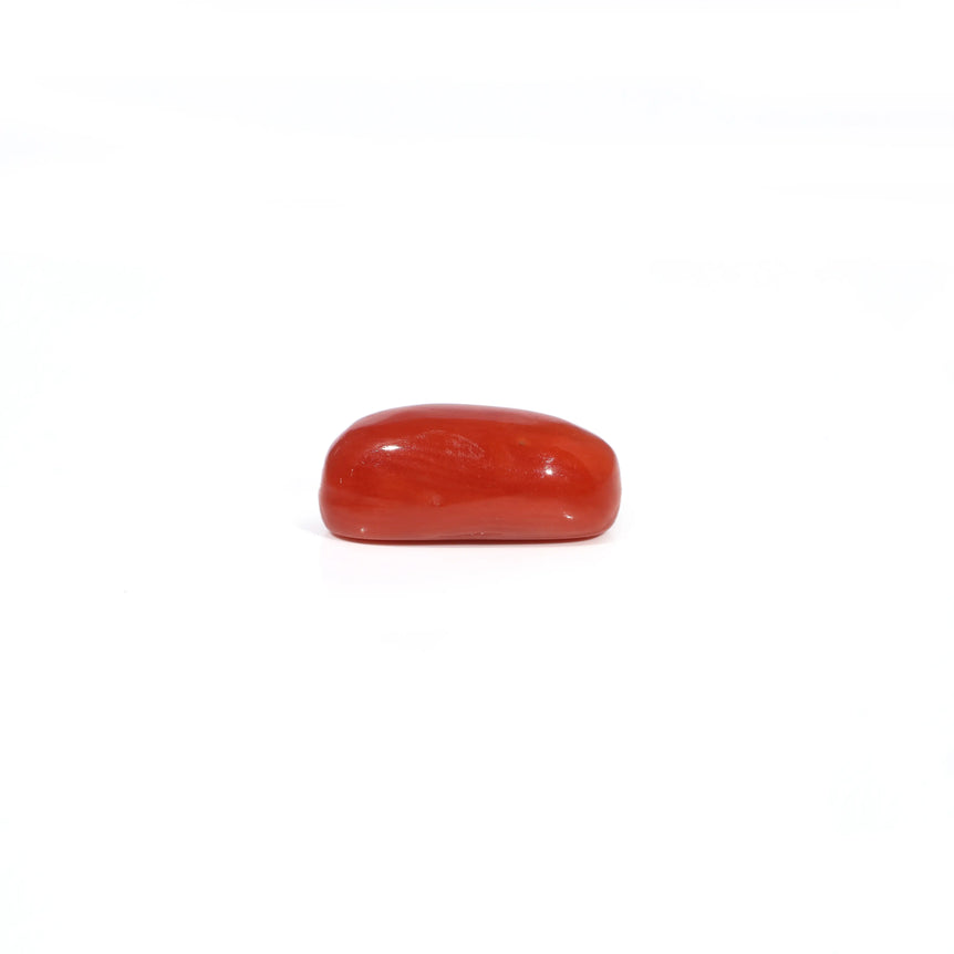 Red Coral - 3.38 Carat
