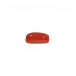 Red Coral - 3.38 Carat