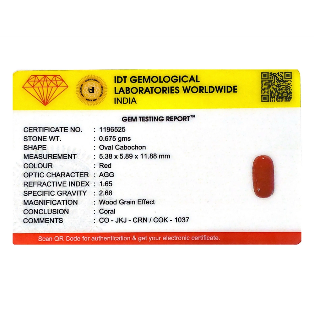 Red Coral - 3.38 Carat