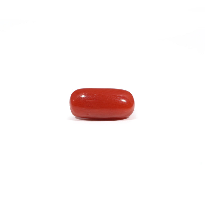 Red Coral - 3.69 Carat - Pramogh