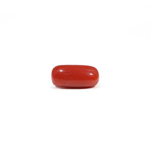Red Coral - 3.69 Carat - Pramogh