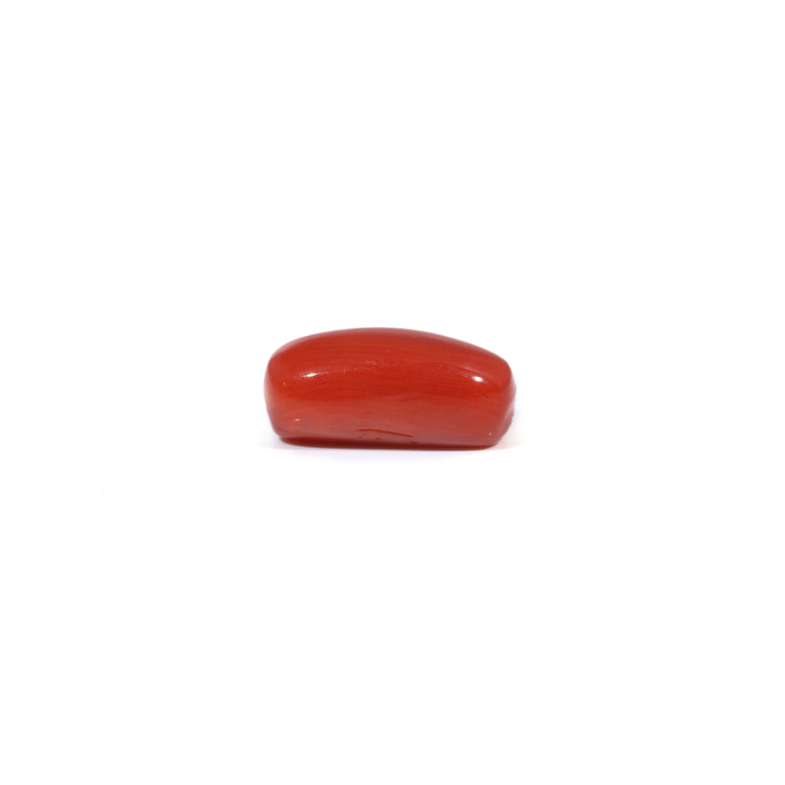 Red Coral - 3.69 Carat