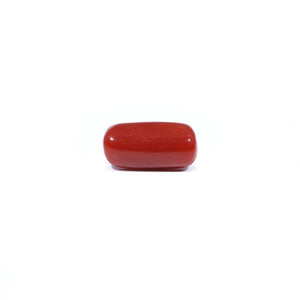 Red Coral - 3.72 Carat - Pramogh