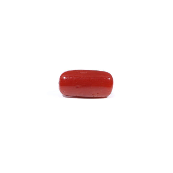 Red Coral - 3.72 Carat