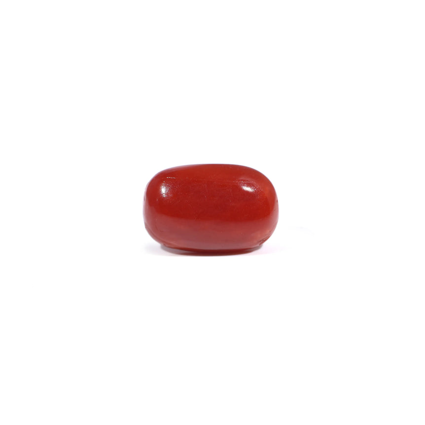 Red Coral - 3.6 Carat - Pramogh