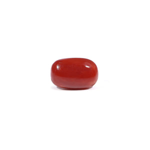 Red Coral - 3.6 Carat - Pramogh