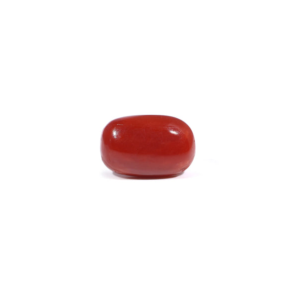 Red Coral - 3.6 Carat - Pramogh