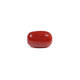Red Coral - 3.6 Carat - Pramogh