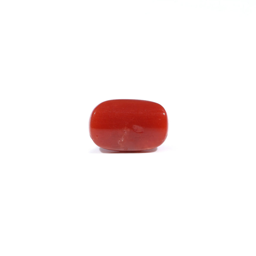 Red Coral - 3.6 Carat