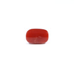 Red Coral - 3.6 Carat
