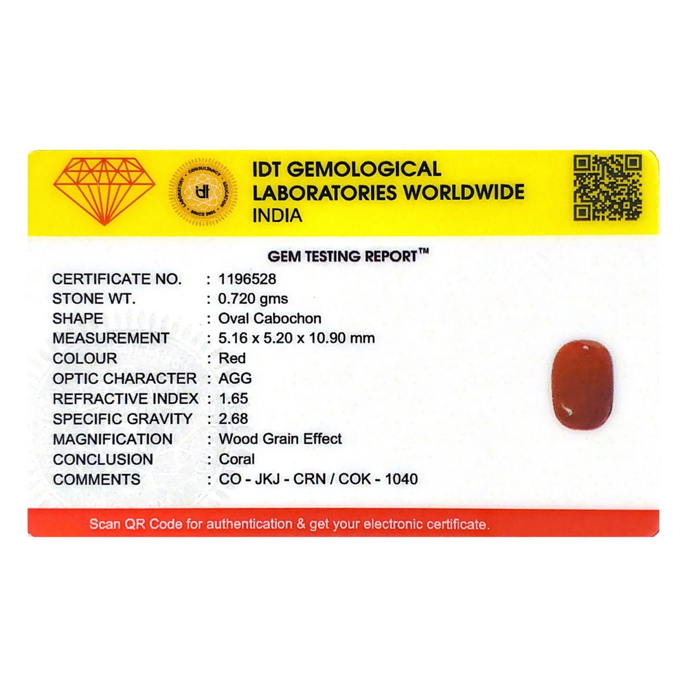 Red Coral - 3.6 Carat