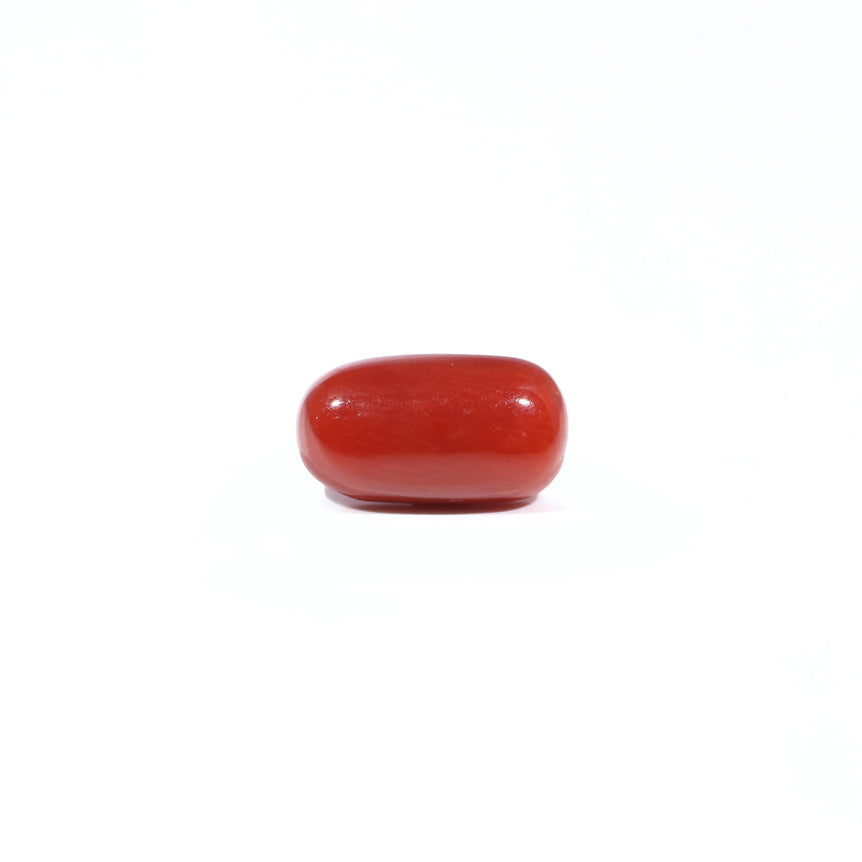Red Coral - 3.2 Carat - Pramogh