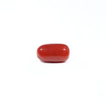 Red Coral - 3.2 Carat - Pramogh