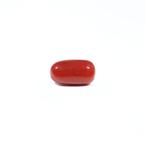 Red Coral - 3.2 Carat - Pramogh