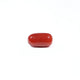 Red Coral - 3.2 Carat - Pramogh