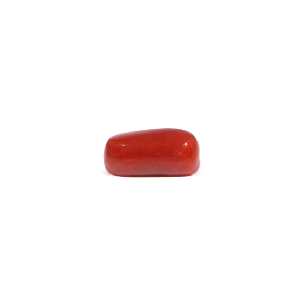 Red Coral - 3.2 Carat