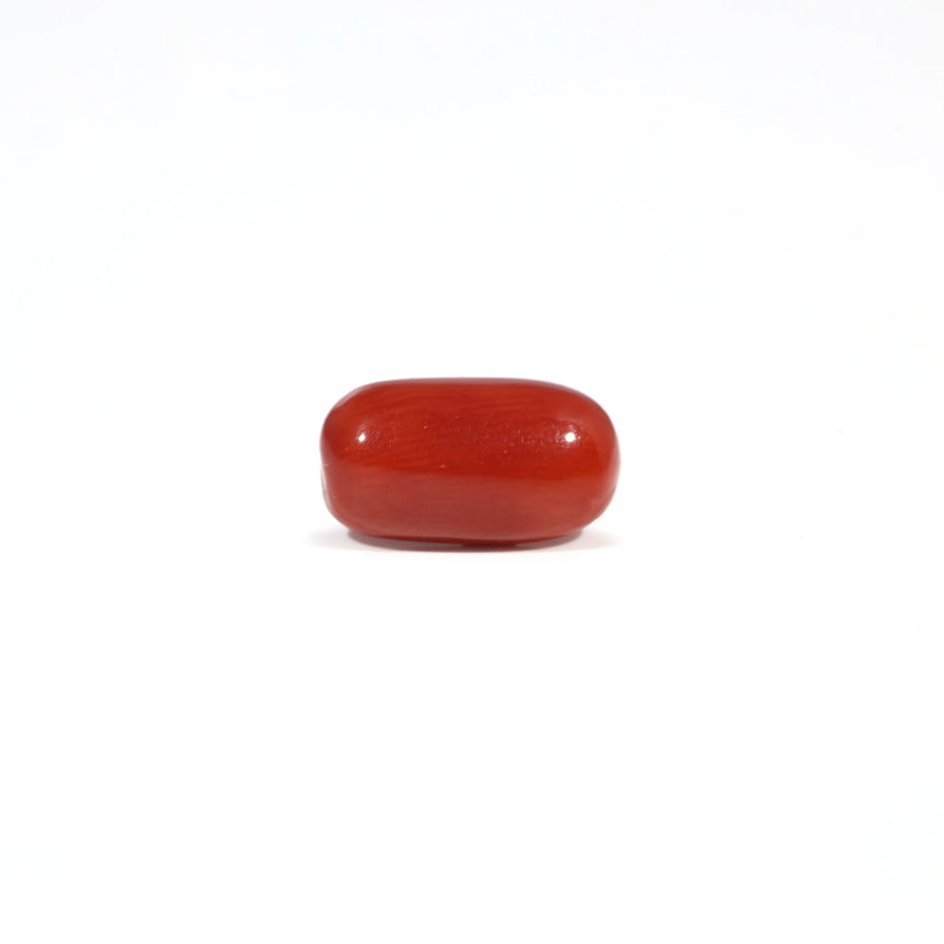 Red Coral - 3.4 Carat - Pramogh