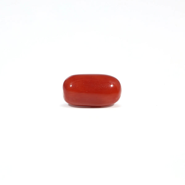 Red Coral - 3.4 Carat - Pramogh