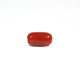 Red Coral - 3.4 Carat - Pramogh