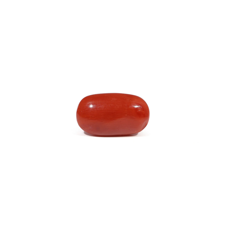 Red Coral - 3.81 Carat - Pramogh
