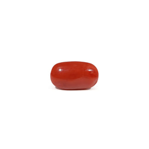 Red Coral - 3.81 Carat - Pramogh