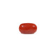 Red Coral - 3.81 Carat - Pramogh