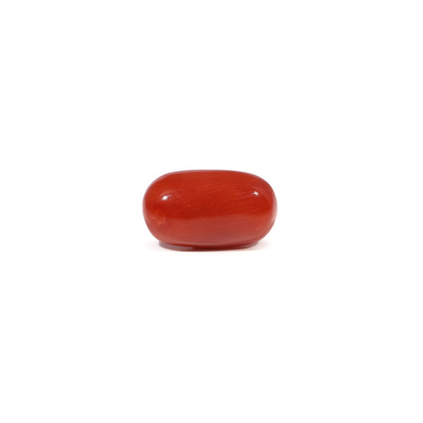 Red Coral - 3.81 Carat