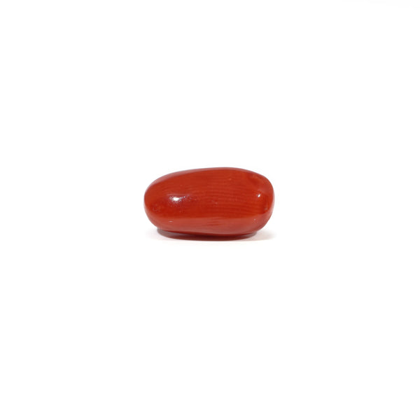 Red Coral - 3.81 Carat