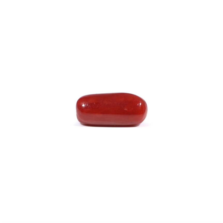 Red Coral - 3.85 Carat - Pramogh