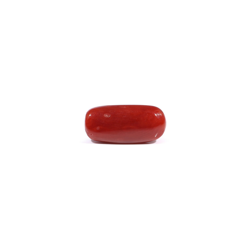 Red Coral - 3.85 Carat