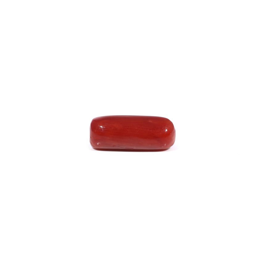 Red Coral - 3.85 Carat