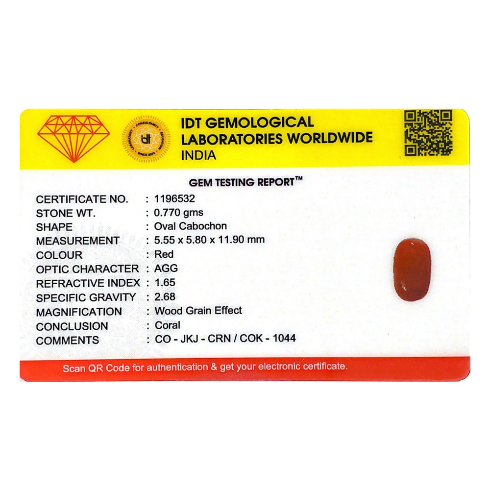 Red Coral - 3.85 Carat