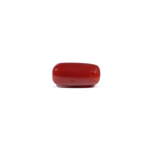Red Coral - 3.6 Carat - Pramogh