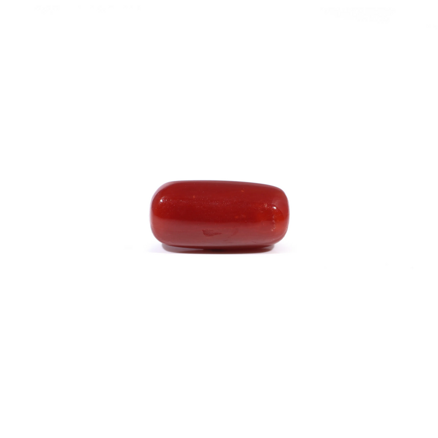 Red Coral - 3.66 Carat - Pramogh