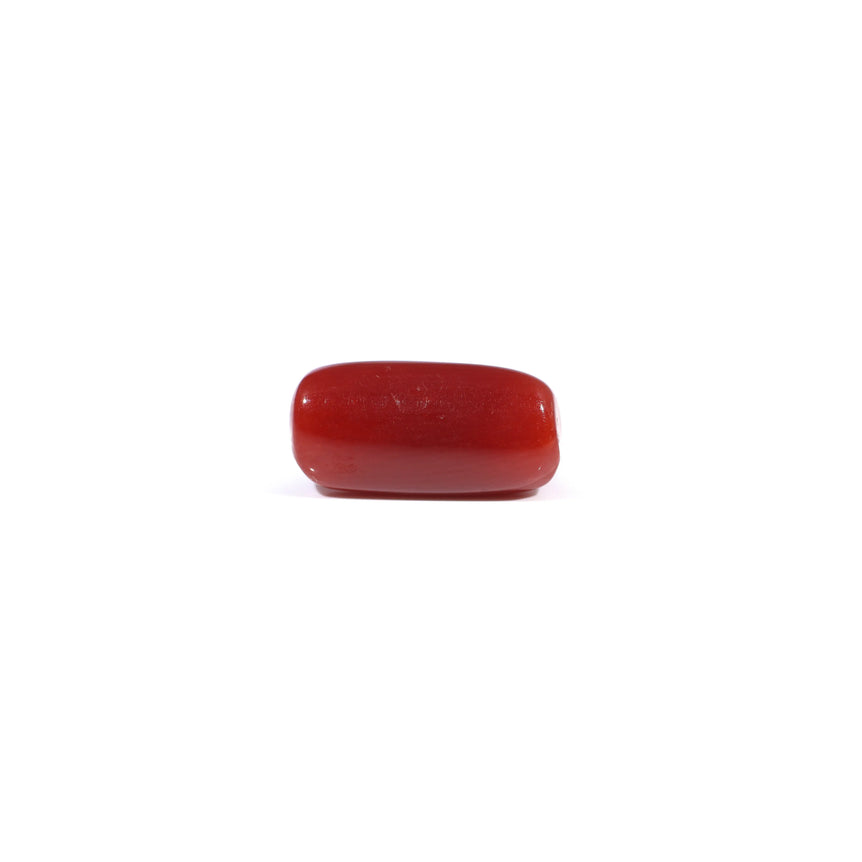 Red Coral - 3.6 Carat