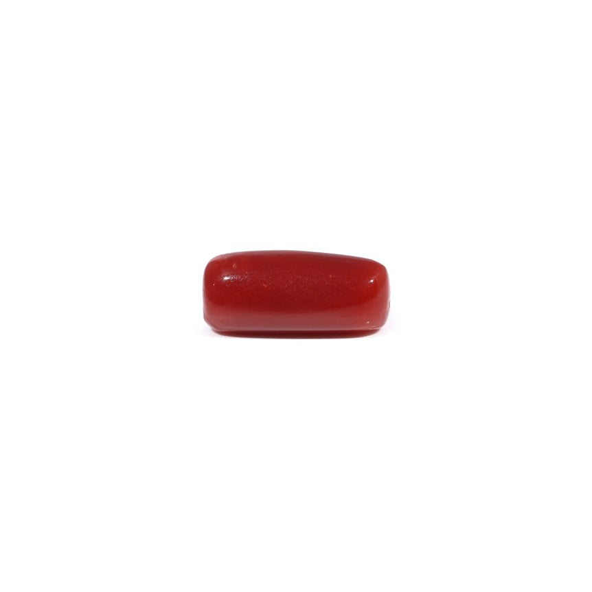 Red Coral - 3.66 Carat