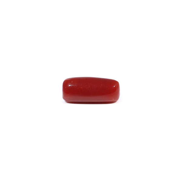 Red Coral - 3.66 Carat