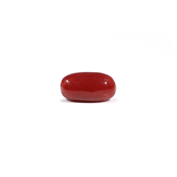Red Coral - 3.37 Carat - Pramogh