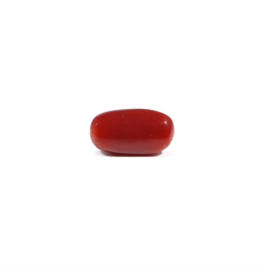 Red Coral - 3.37 Carat