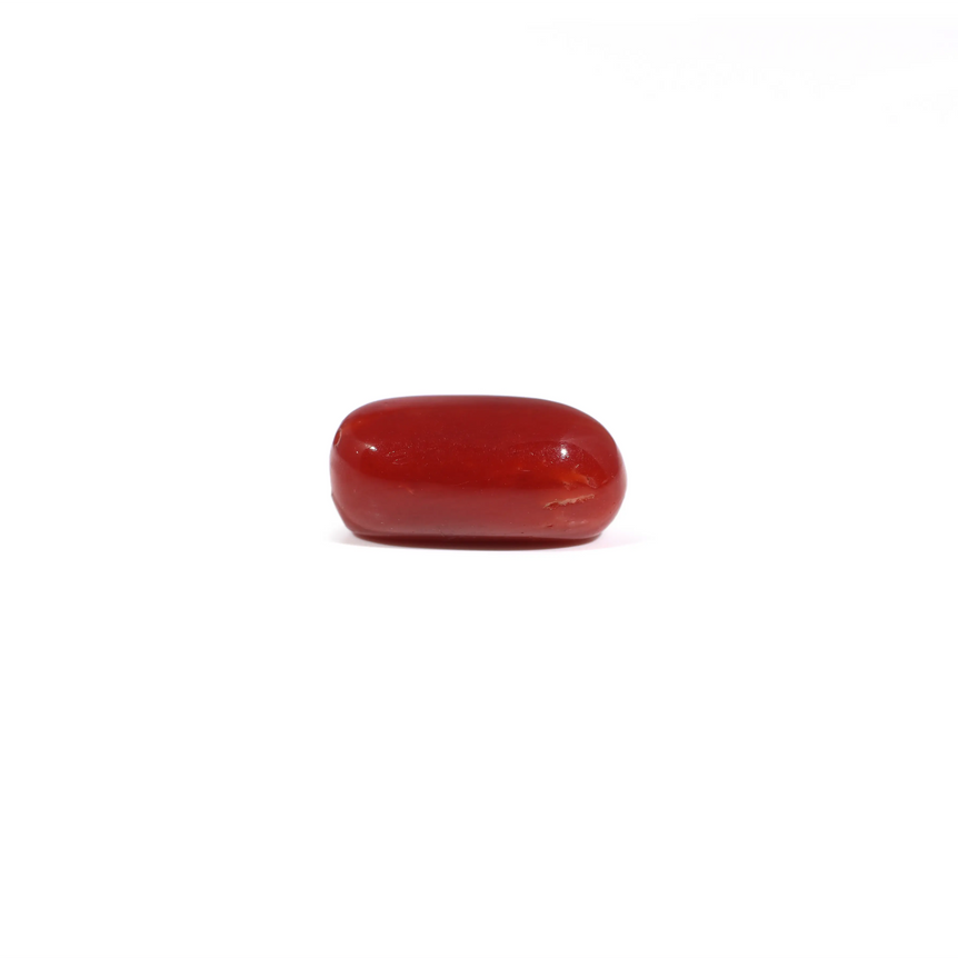 Red Coral - 3.37 Carat
