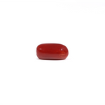 Red Coral - 3.37 Carat