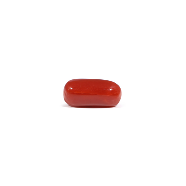 Red Coral - 3.24 Carat