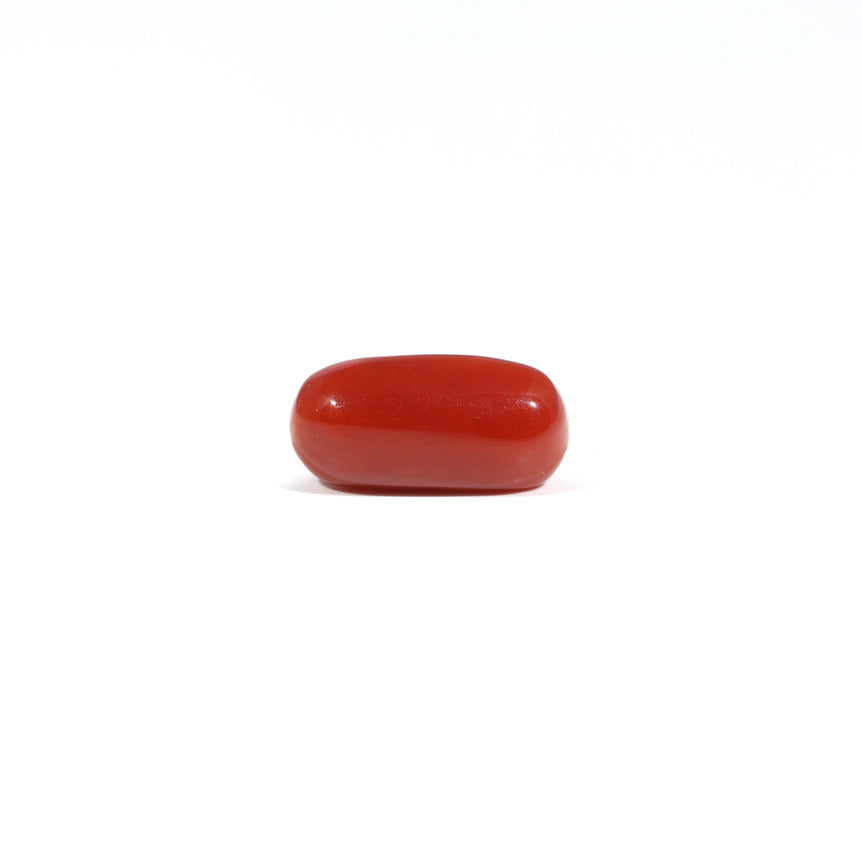 Red Coral - 3.24 Carat - Pramogh