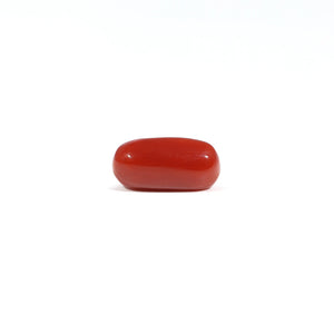 Red Coral - 3.24 Carat - Pramogh