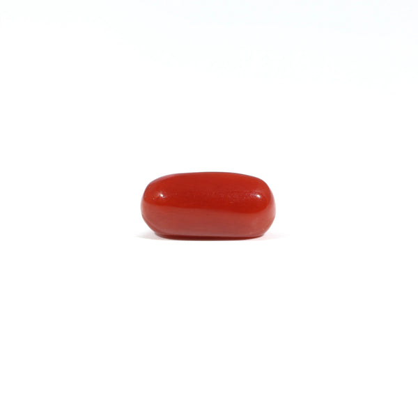 Red Coral - 3.24 Carat - Pramogh