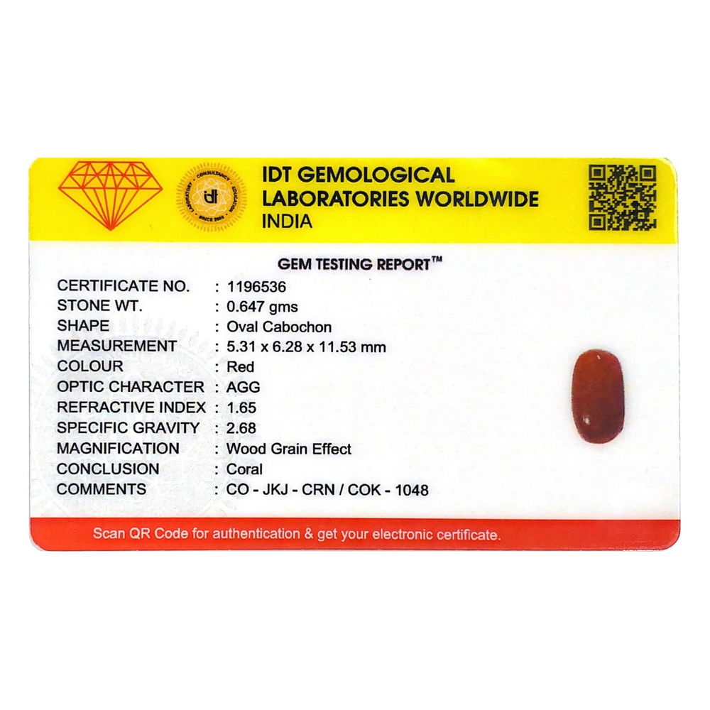 Red Coral - 3.24 Carat