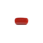 Red Coral - 3.29 Carat