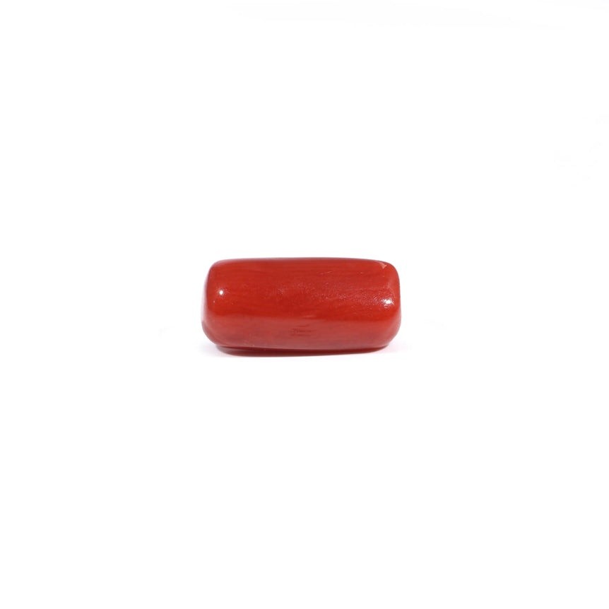 Red Coral - 3.29 Carat