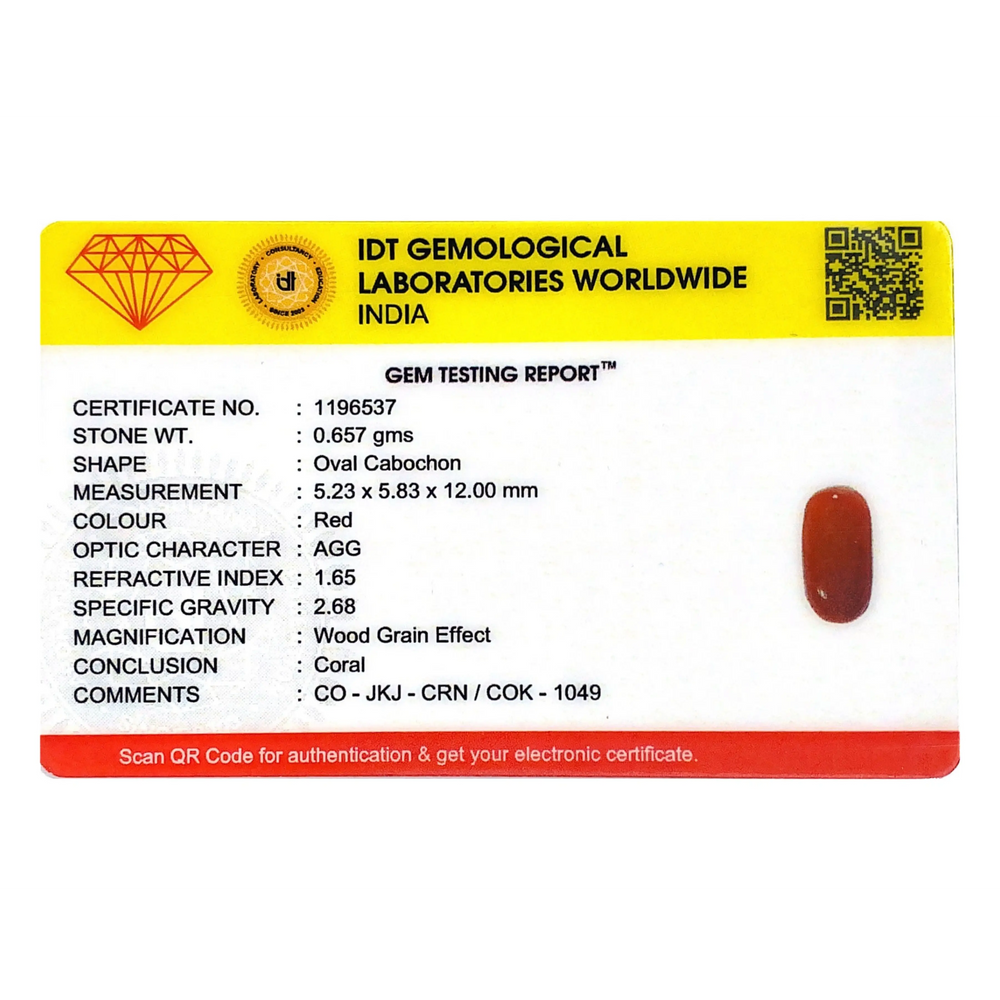 Red Coral - 3.29 Carat
