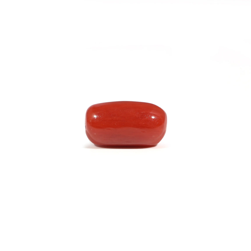 Red Coral - 3.6 Carat - Pramogh